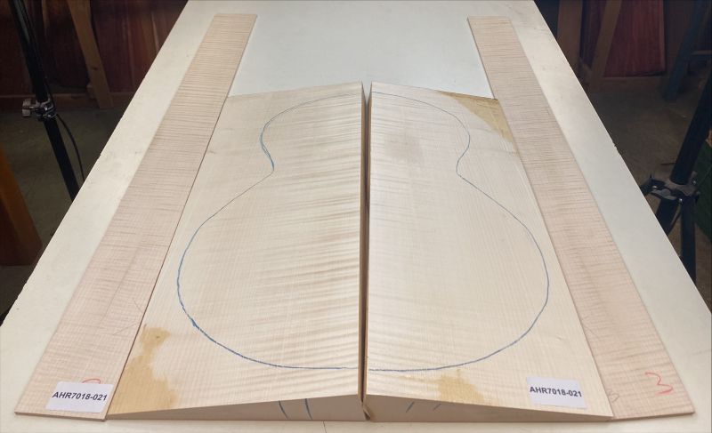Back & Sides Sycamore / Europ. Maple, Archtop Unique Piece #021